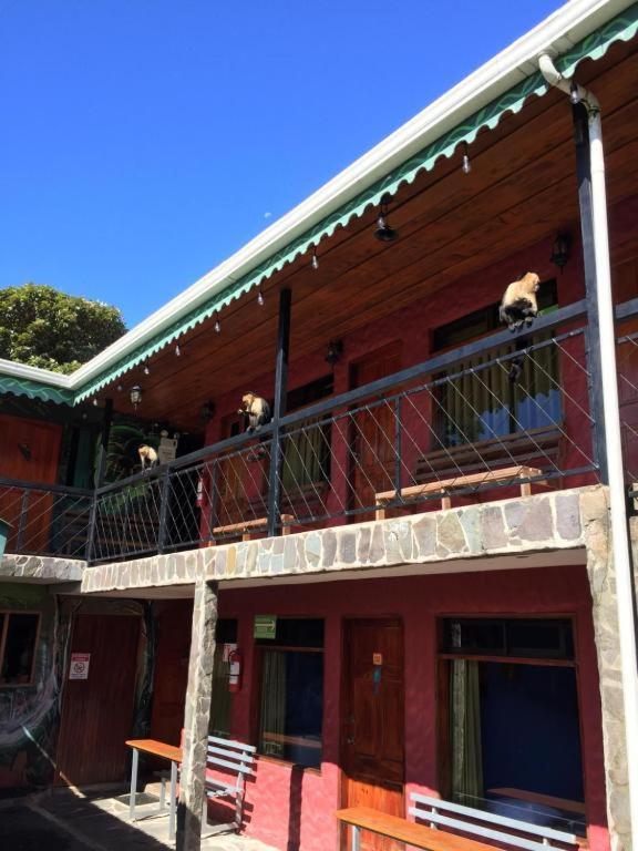 Manakin Lodge, Monteverde Cr מראה חיצוני תמונה