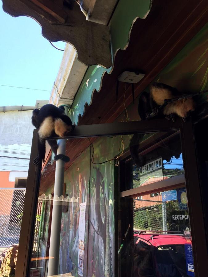 Manakin Lodge, Monteverde Cr מראה חיצוני תמונה